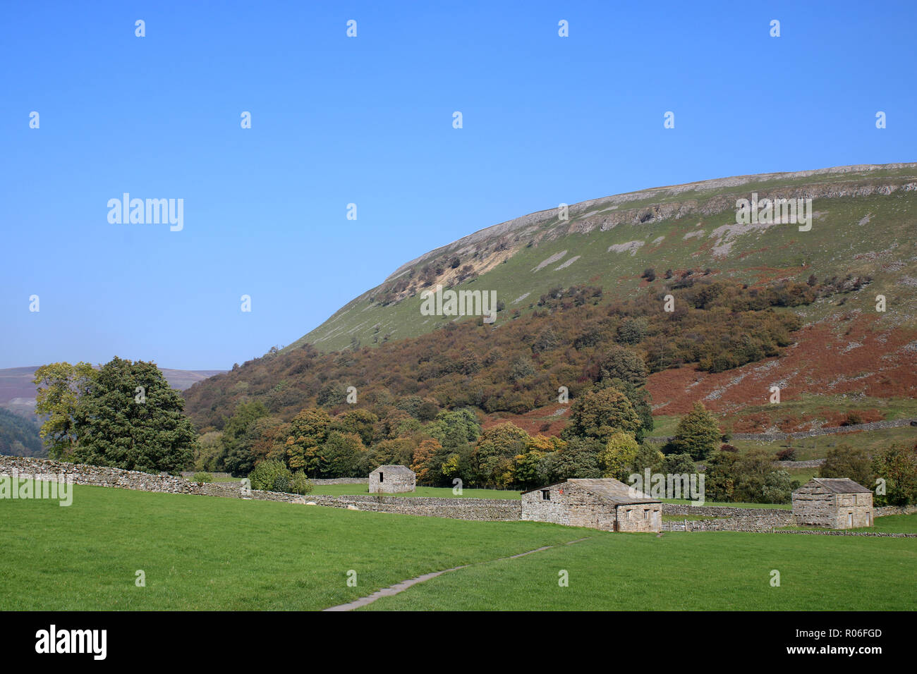 Feld Scheunen, auch lokal als cowhouses Swaledale, in der Nähe des Dorfes Muker, Richmdshire, northshire an einem klaren sonnigen Herbsttag im Jahr 2018 bekannt Stockfoto