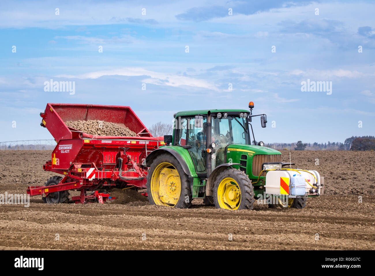 Pflanzen Samen Kartoffeln im Frühjahr in Canterbury, Neuseeland Stockfoto