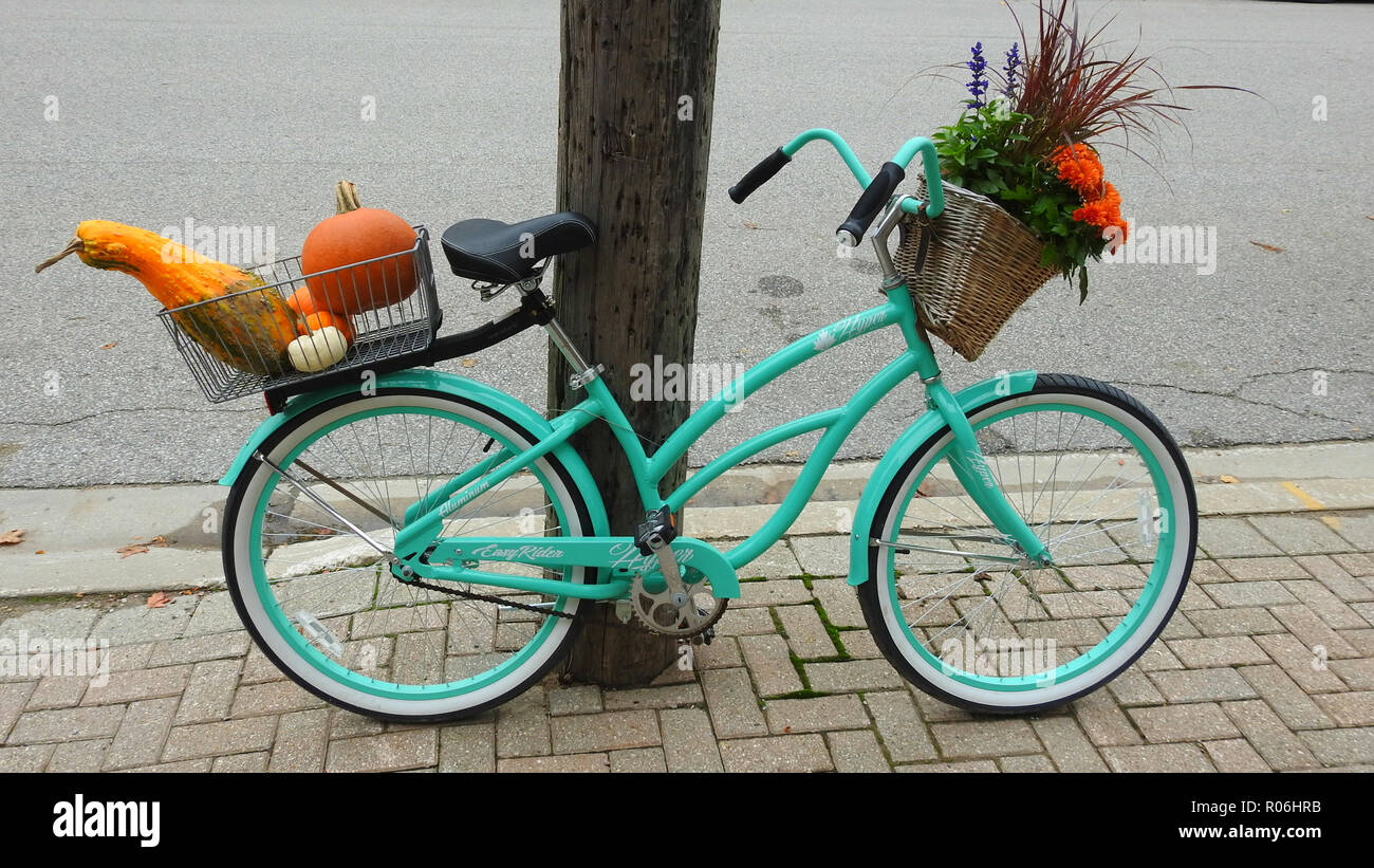 Der Herbst ist die beste Jahreszeit, finden Sie nicht auch? Leihfahrräder sind Genial oder? Diese beiden Dinge zusammen werfen und hier gehen Sie! Stockfoto