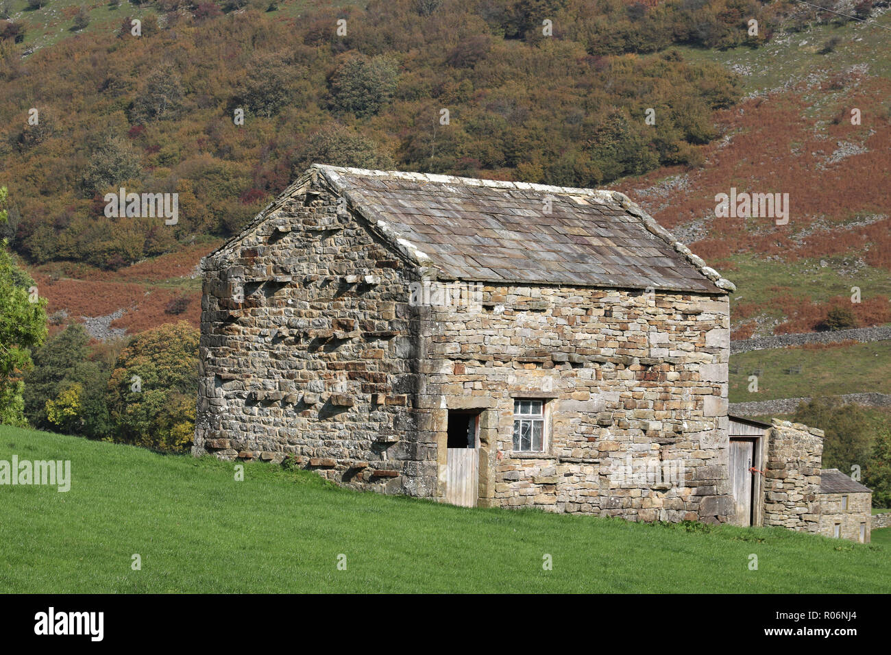 Nahaufnahme von einem Feld Scheune, oder cowhouse, in der Nähe von Muker in Swaledale, Richmondshire, North Yorkshire, England, UK. Stockfoto