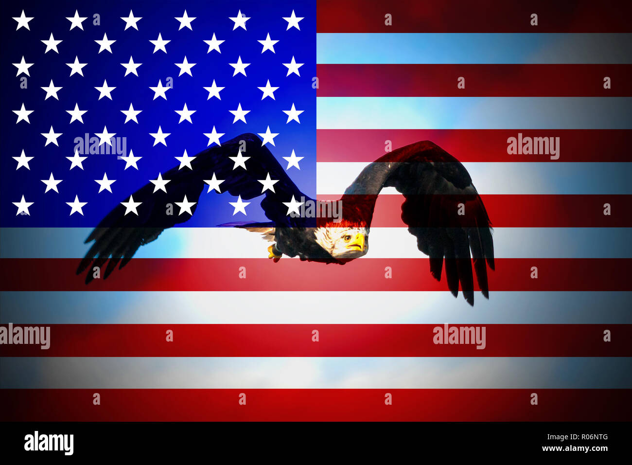Flagge der USA in minimalistischem Design und hohe Qualität Stockfoto