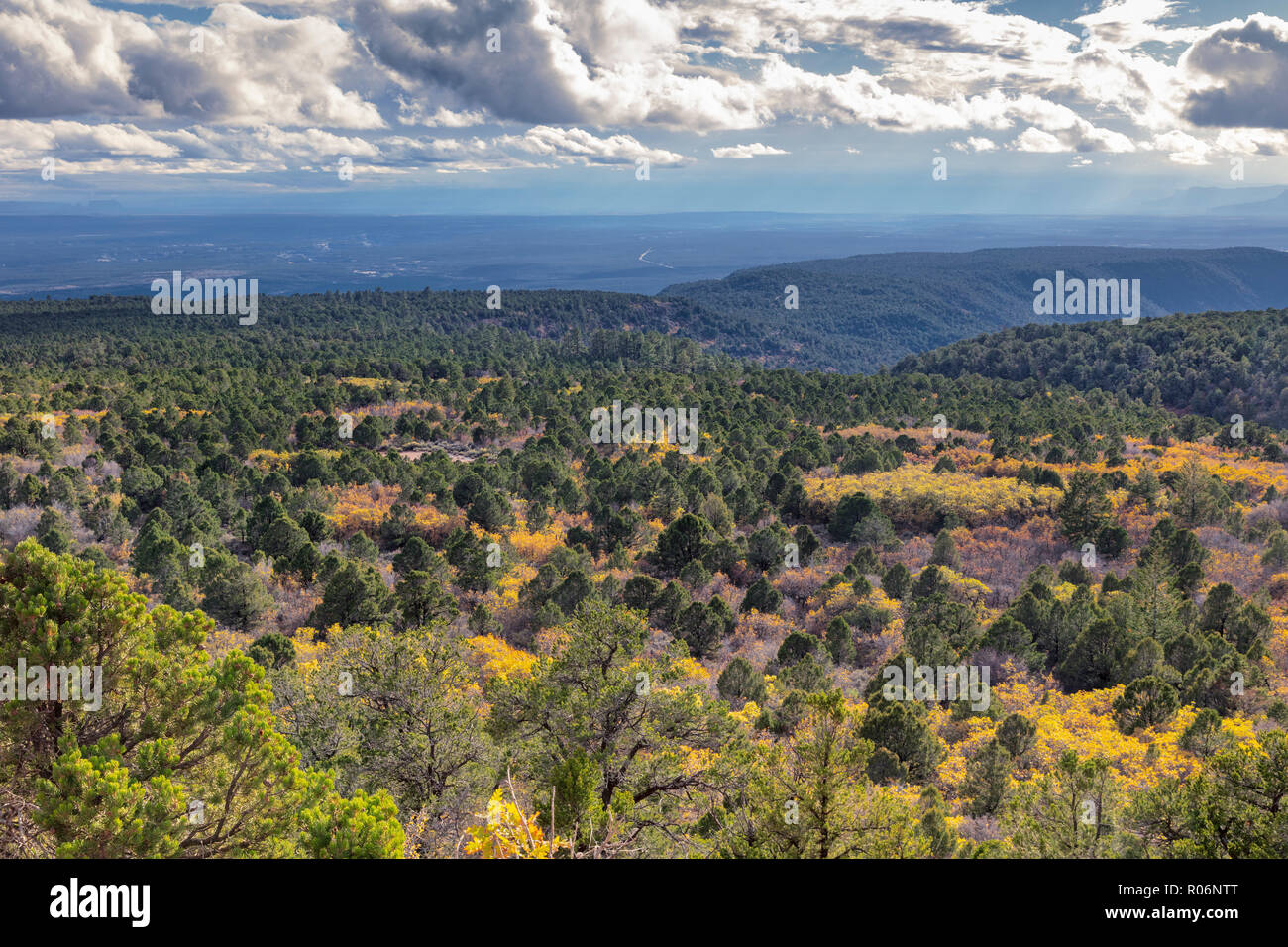 Ändern der Farben - südliche Utah Berge Stockfoto