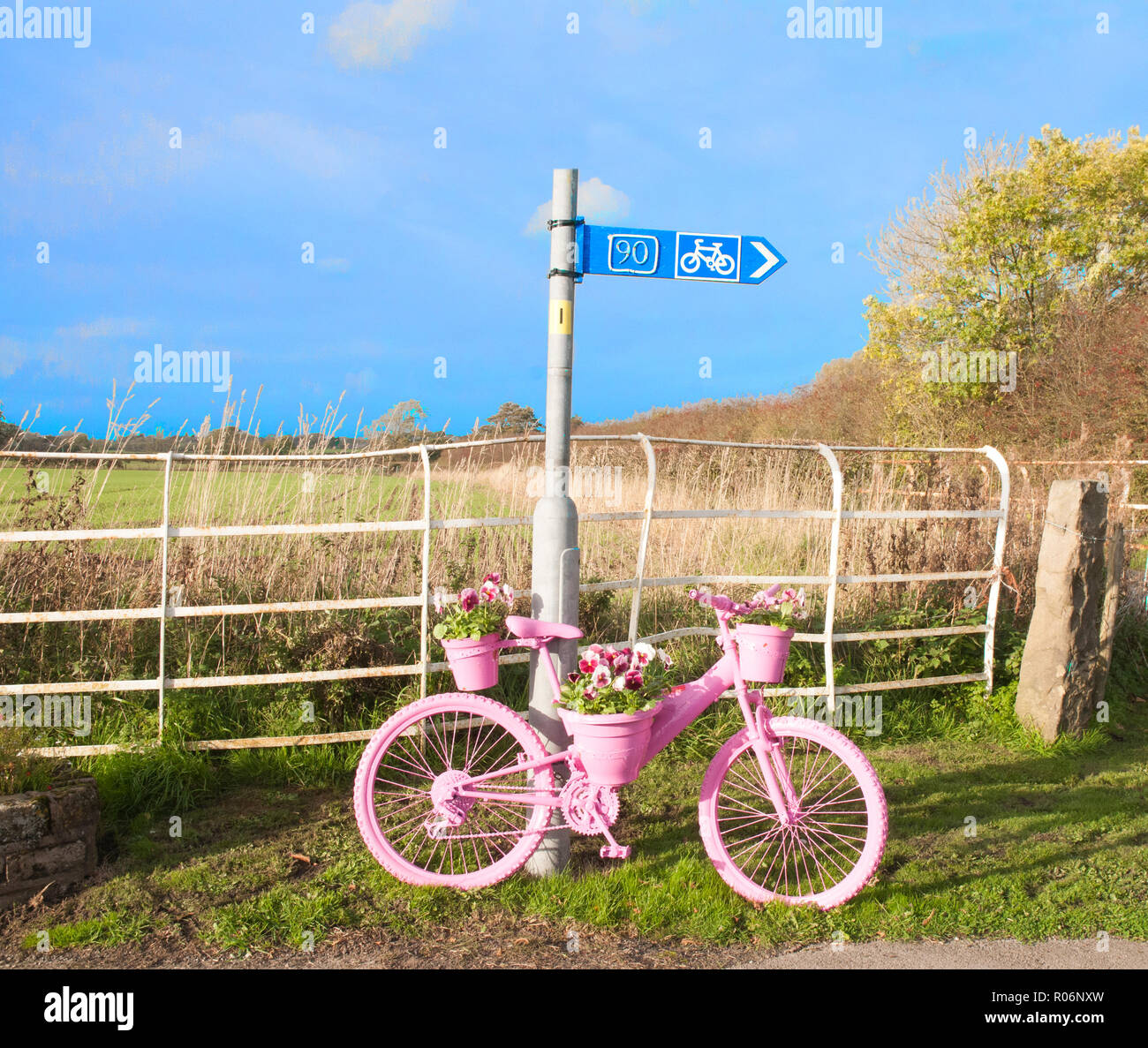 Fahrrad am Straßenrand lackiert rosa mit blume Anzeige der Rosa rote und weiße Stiefmütterchen. Elswick Dorf Lancashire England Großbritannien Stockfoto