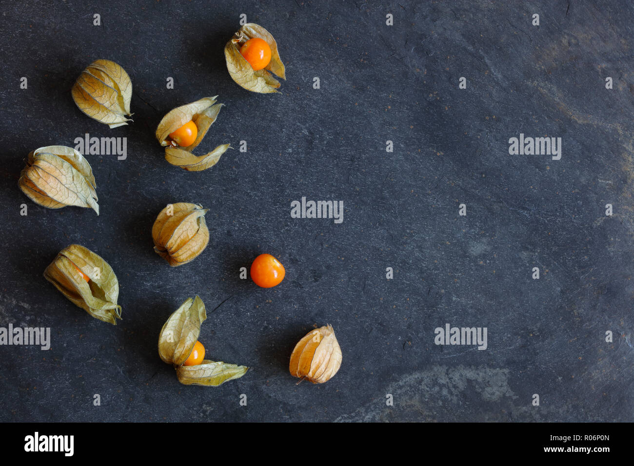 Anordnung der Physalis Früchte, Kap Stachelbeeren, auf schiefer Hintergrund mit Kopie Raum nach rechts Stockfoto