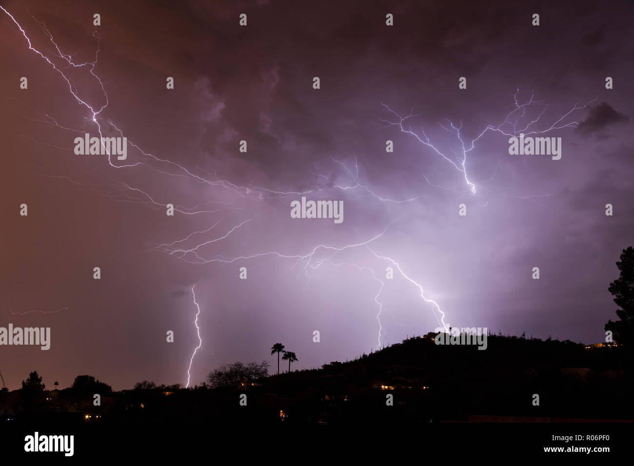 Spinne Blitz, der Monsune, Tucson, AZ Stockfoto