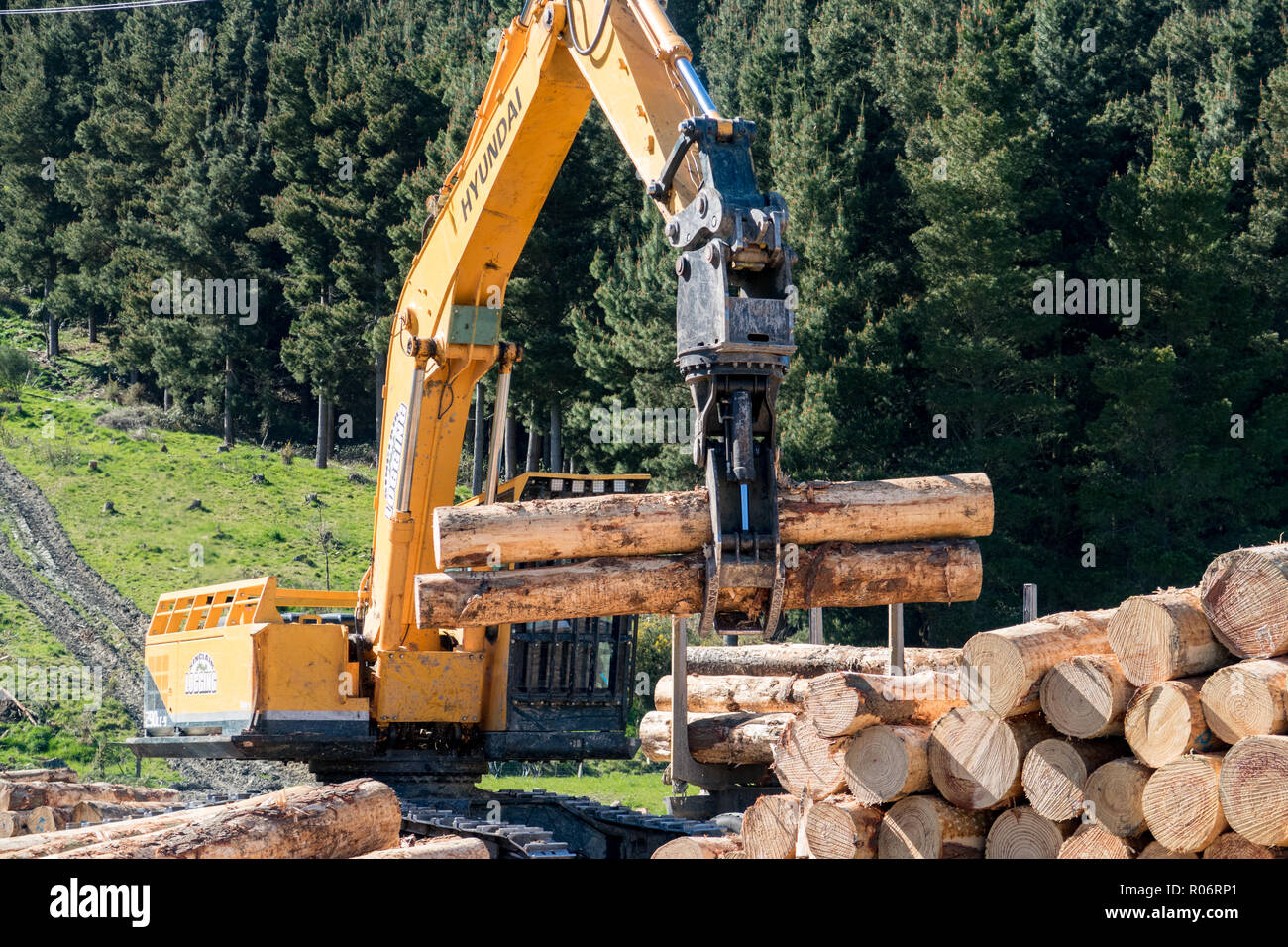 Opuha, South Canterbury, Neuseeland - 14. September 2018: eine Schaukel Lader Stapel meldet sich ein Lkw an einer Forstwirtschaft Website Stockfoto