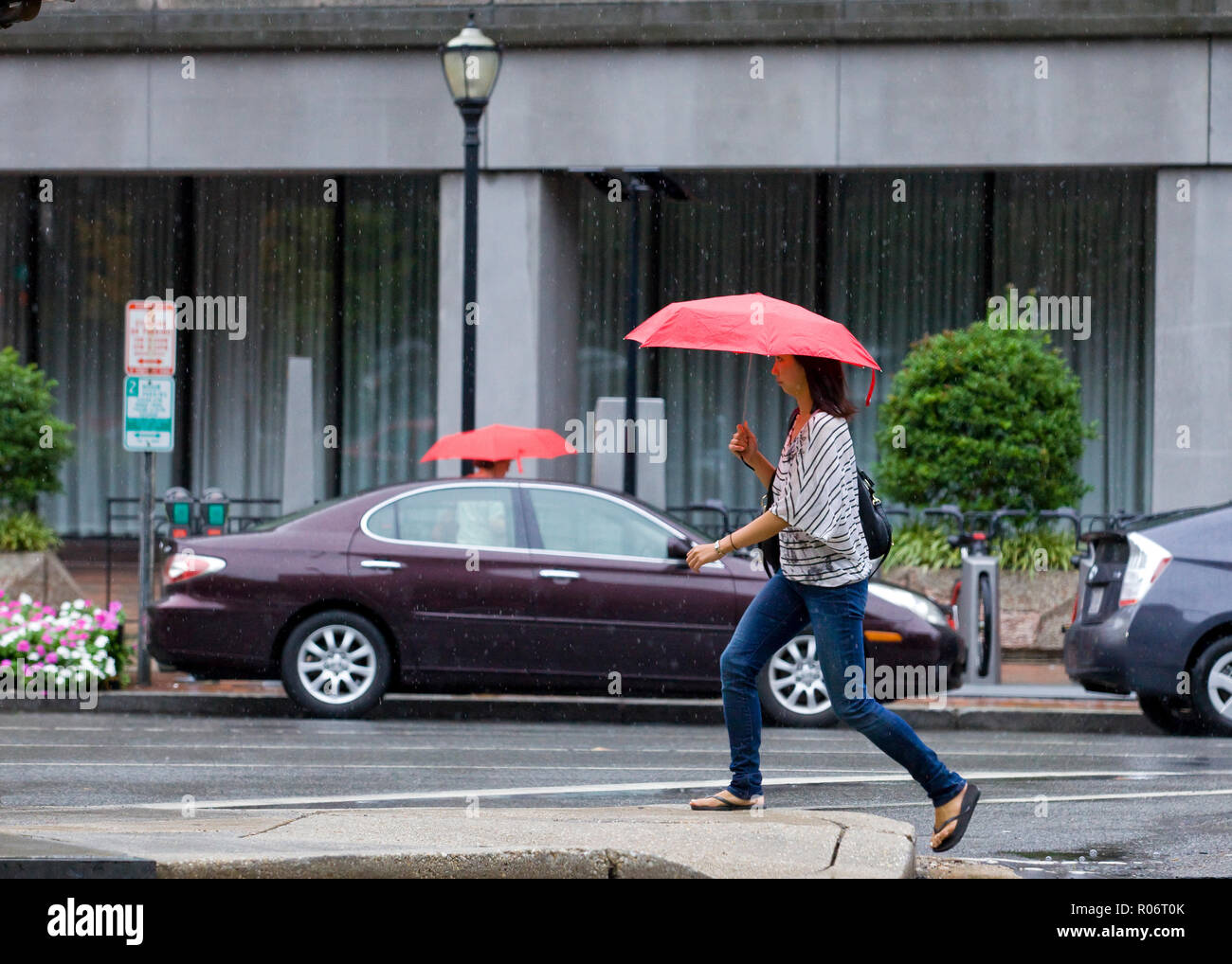 Eine Frau allein zu Fuß an einem regnerischen Tag mit einem Regenschirm - USA Stockfoto