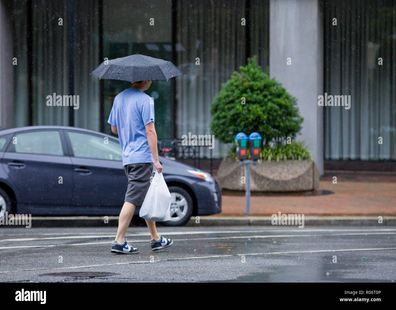 Mann allein zu Fuß an einem regnerischen Tag Holding einen Regenschirm und Grocery bag-USA Stockfoto