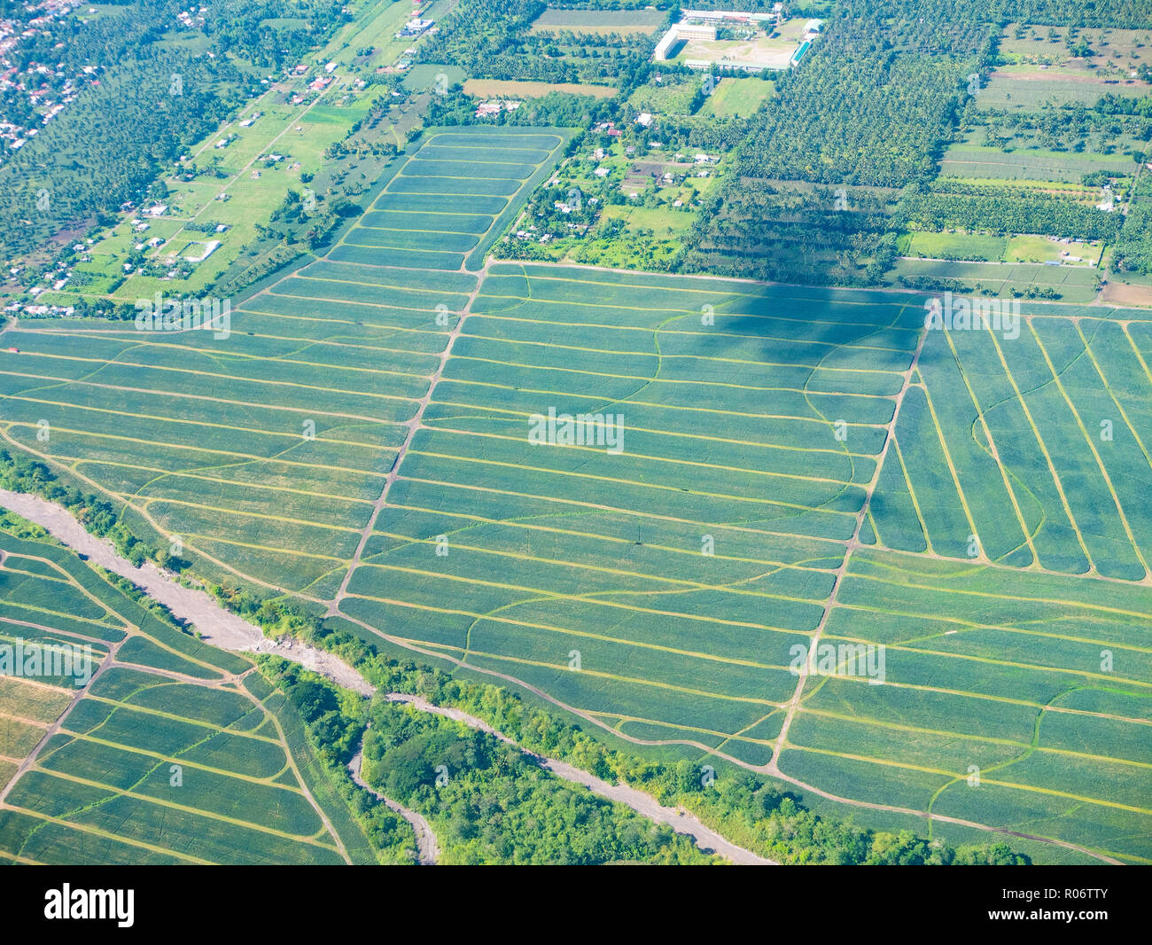Luftaufnahme von Ananas Felder in der Nähe von General Santos City, South Cotabato Provinz auf Mindanao, der südlichsten Insel der Philippinen. Stockfoto