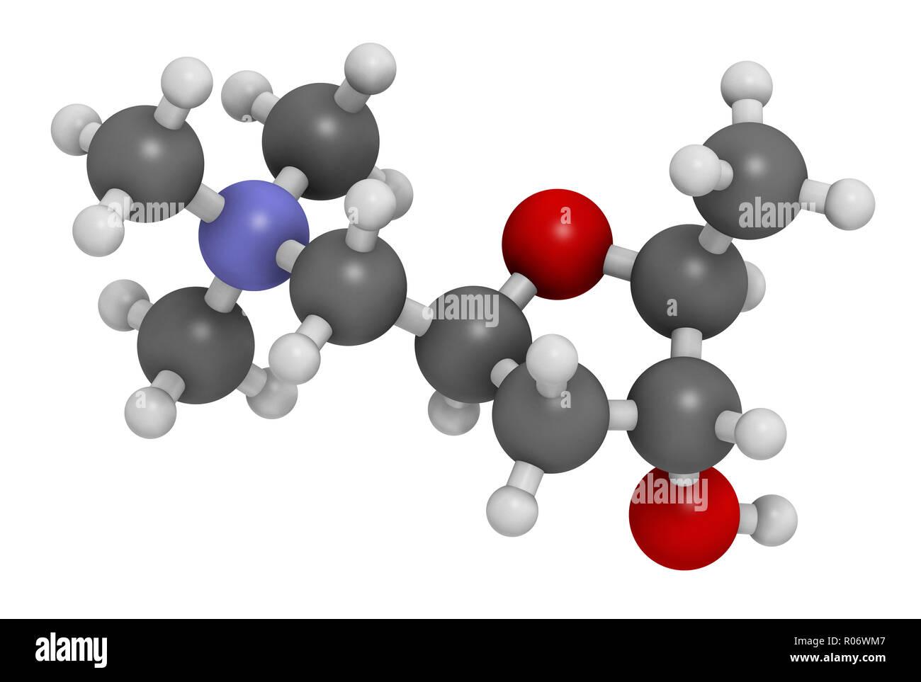 Muskarin acetylcholin rezeptoren Fotos und Bildmaterial in hoher