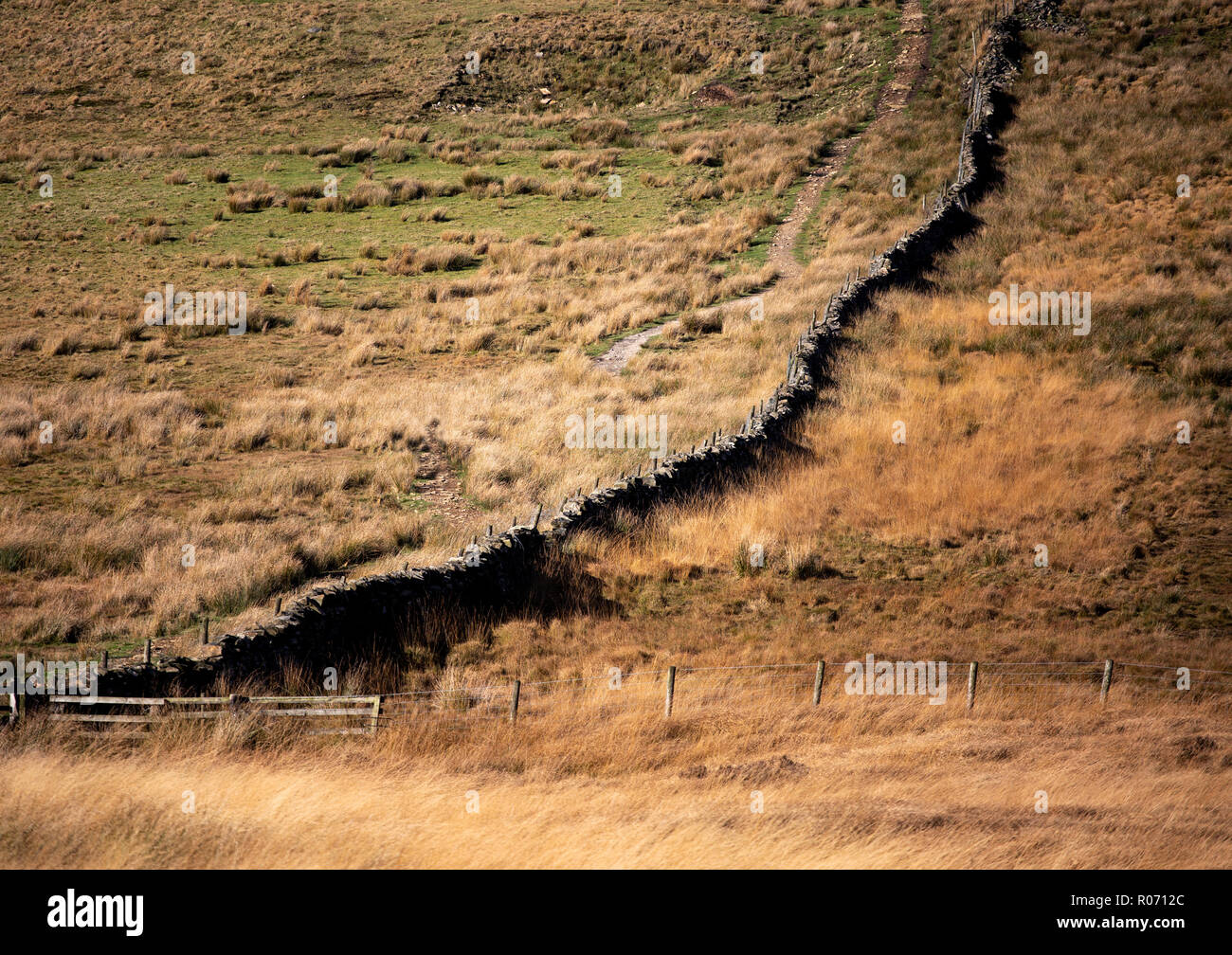 Zerbrochene Steinmauer in die West Pennine Moors Verfahren düsteren Moor. Stockfoto