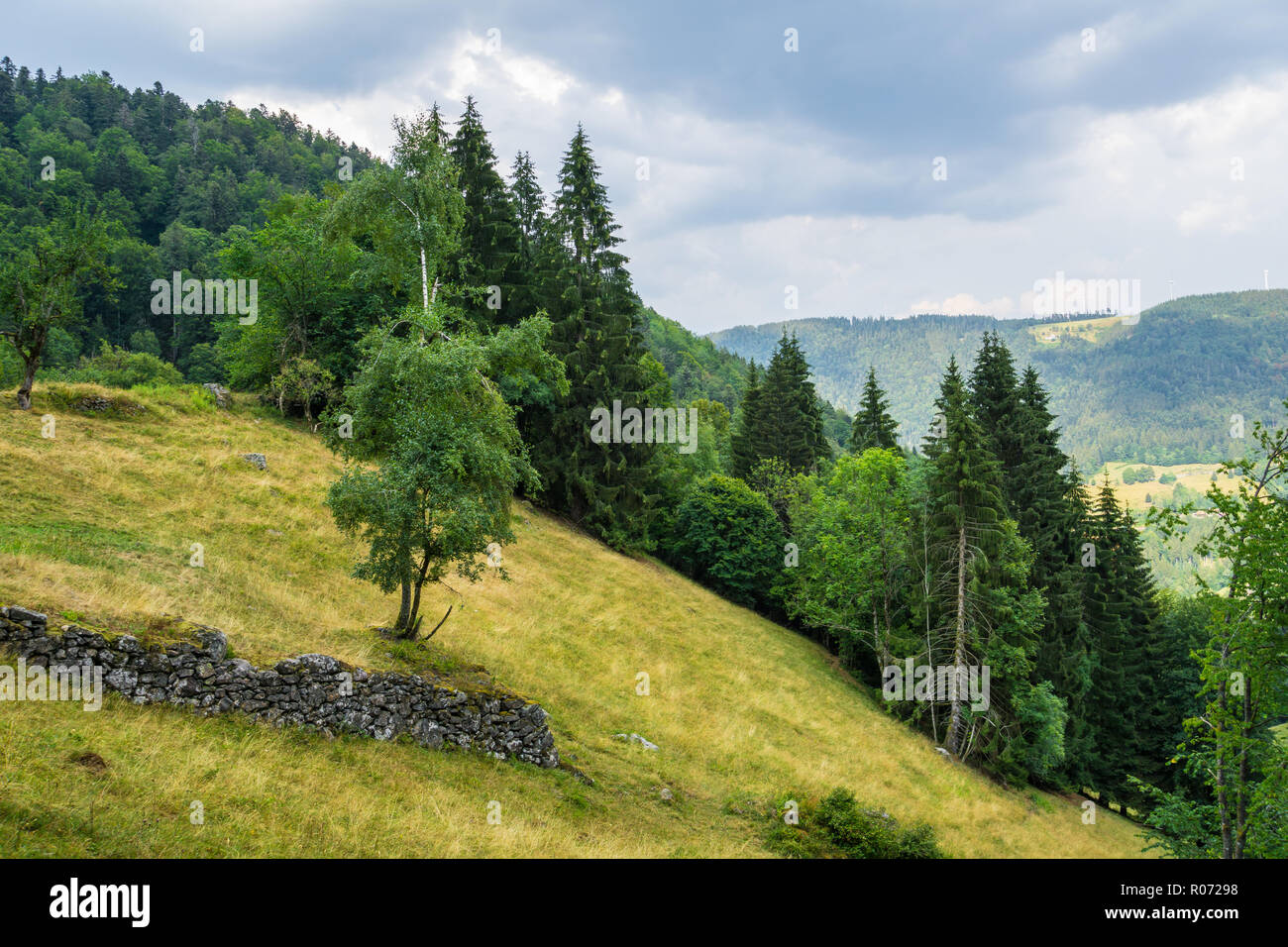 Deutschland, steilen Bergen Baum Natur Landschaft des Schwarzwaldes Stockfoto