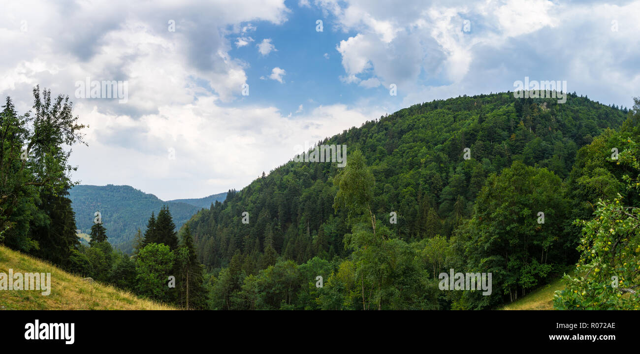 Deutschland, Schwarzwald wandern Panorama in der Nähe von Simonswald im Sommer Stockfoto