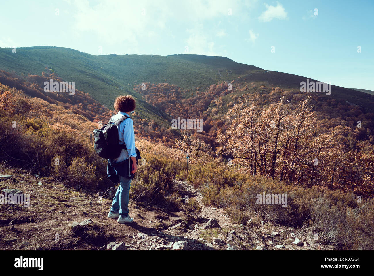 Frau wandern in Buche Wald im Herbst mal einen sonnigen Tag mit blauen Himmel Stockfoto