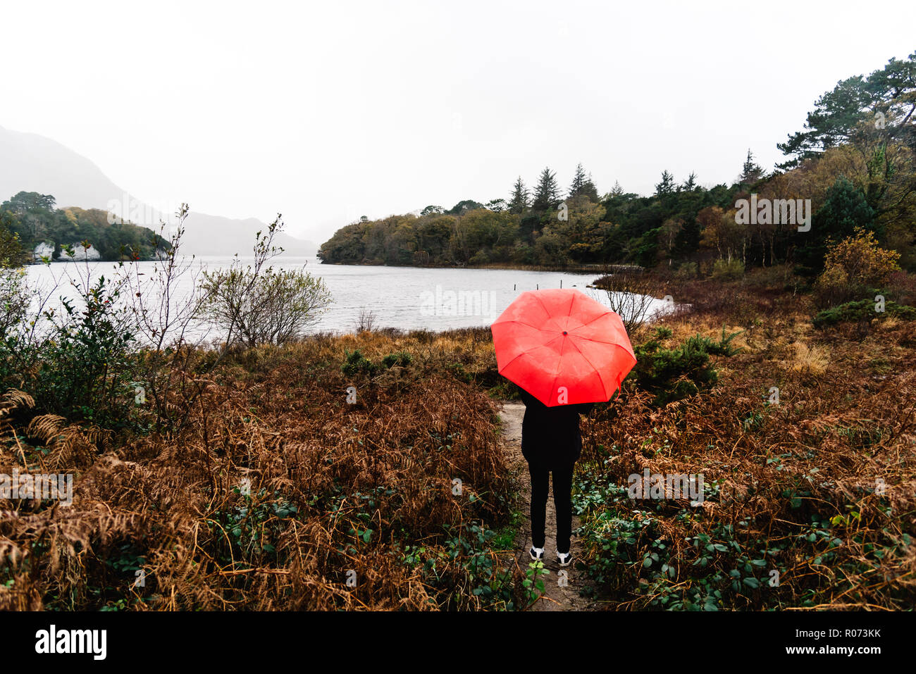 Frau mit roten Regenschirm von See in Killarney National Park in Irland einem nebligen Tag im Herbst Stockfoto