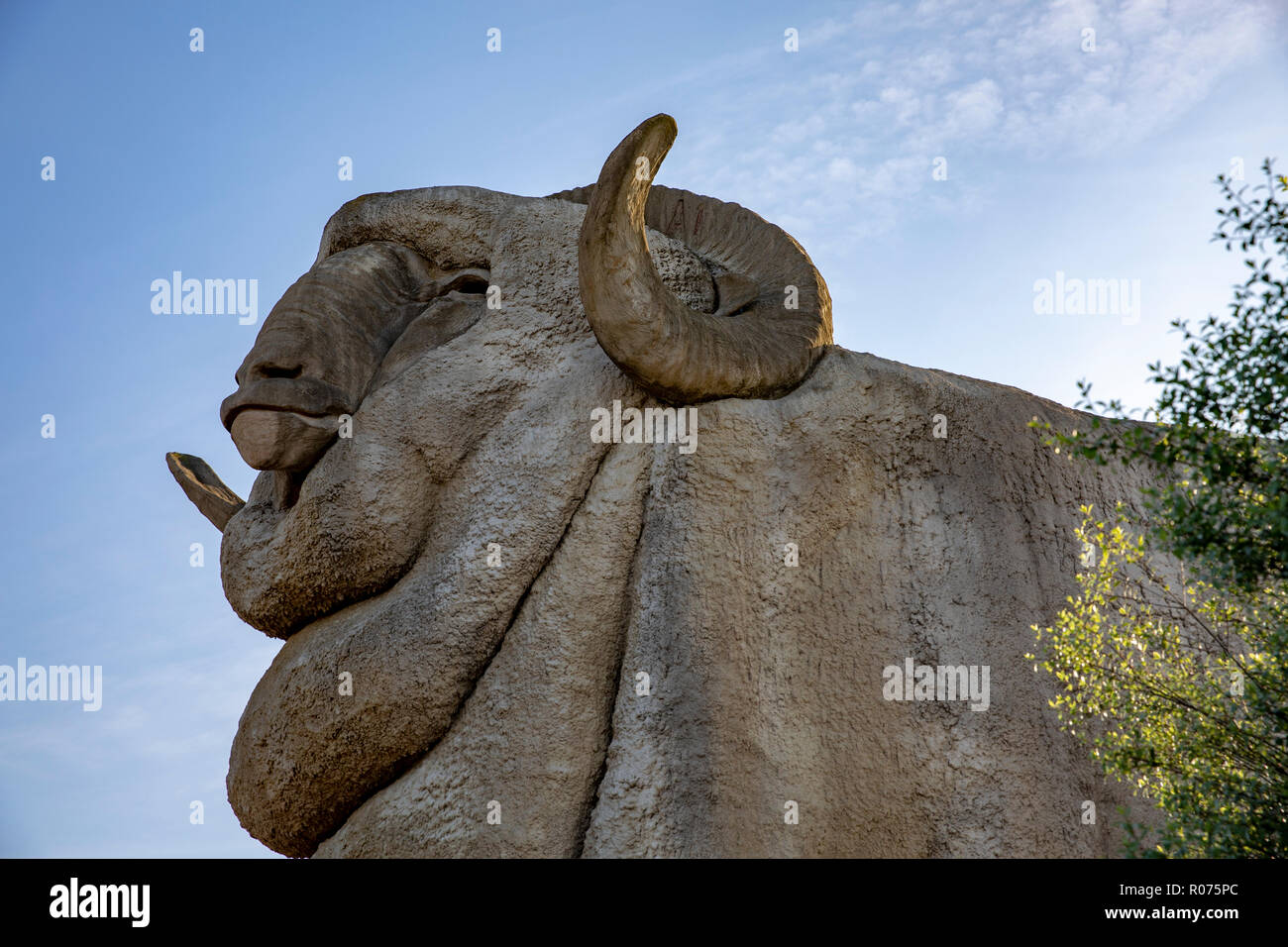 Big Merino konkrete Struktur der Wollindustrie in Goulburn, New South Wales, Australien Stockfoto