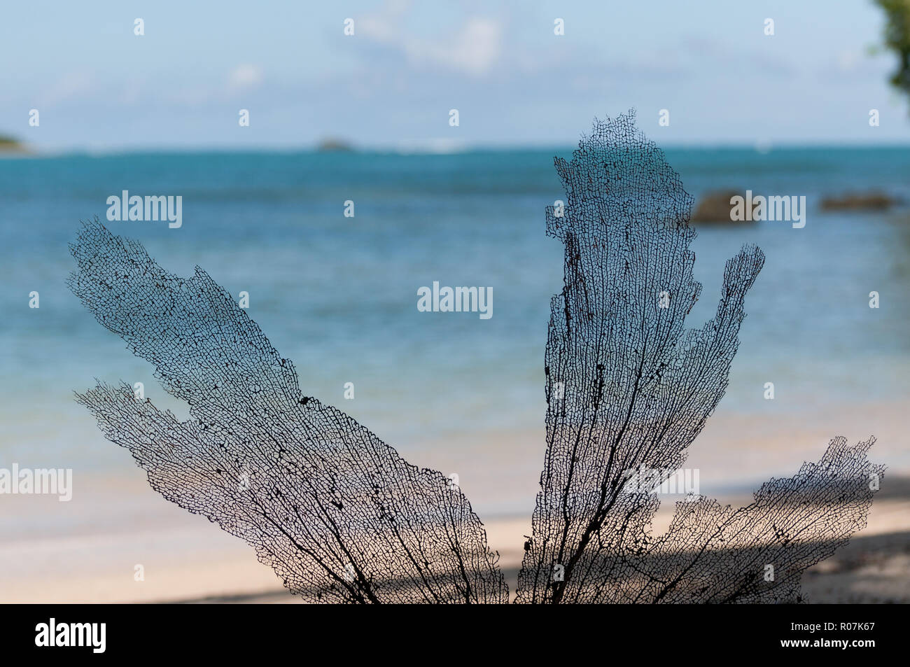 Meer in Dominikanische Republik Karibik Stockfoto