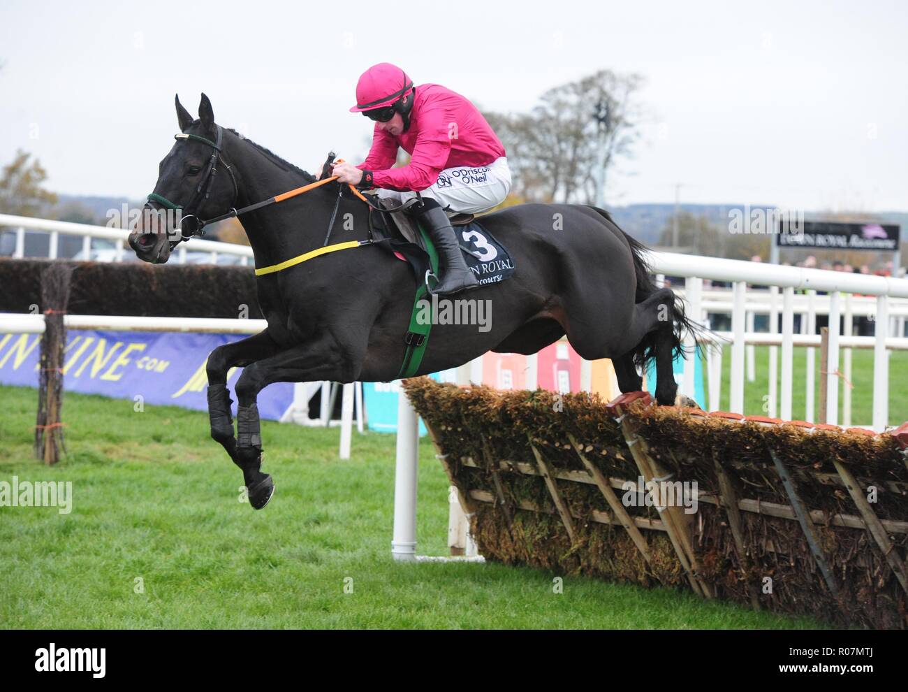 Erste Annäherung und Jockey Sean Flanagan gewinnen die Eventsec Maiden Hürde während des Tages eine der unten Royal Festival. Stockfoto