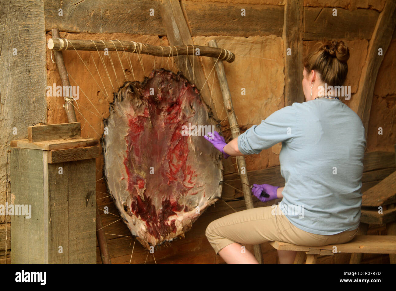 Frau, die den traditionellen Bräunungsprozess im Frontier Culture Museum in Staunton, VA, USA, demonstriert Stockfoto