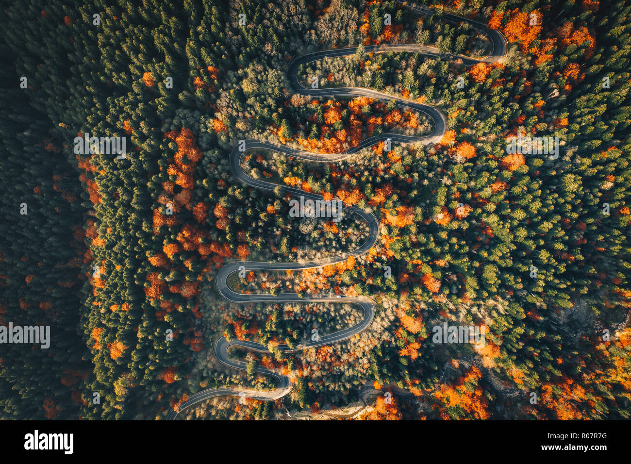 Wicklung gekrümmten Weg im Wald hoch oben in den Bergen Stockfoto