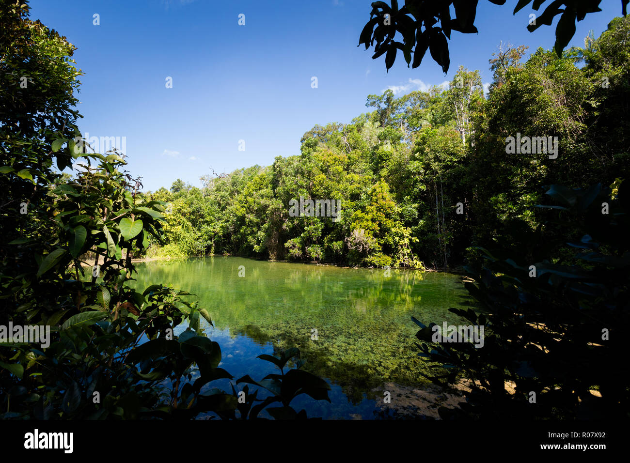 Blick auf Glas Pool, Sra Kaew in Emerald Pool park Krabi im Süden Thailands. Landschaft im schönen Thung Teao forest in Südostasien. Stockfoto