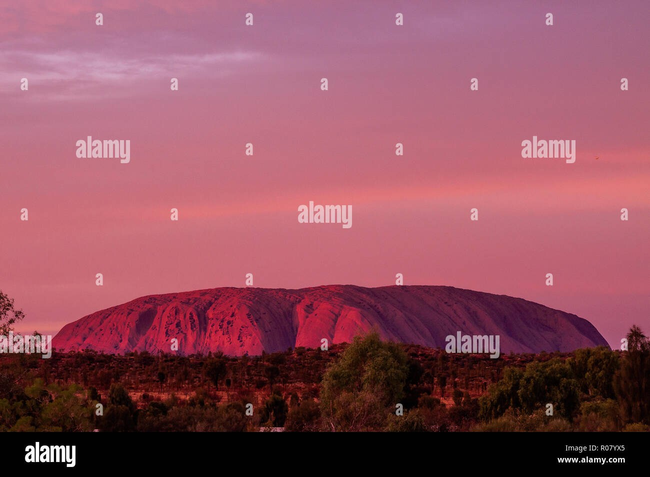 OUTBACK, AUSTRALIEN - 30. APRIL 2009: rot-lila Uluru, Ayers Rock bei Sonnenuntergang - eines der UNESCO-Welterbe Stockfoto