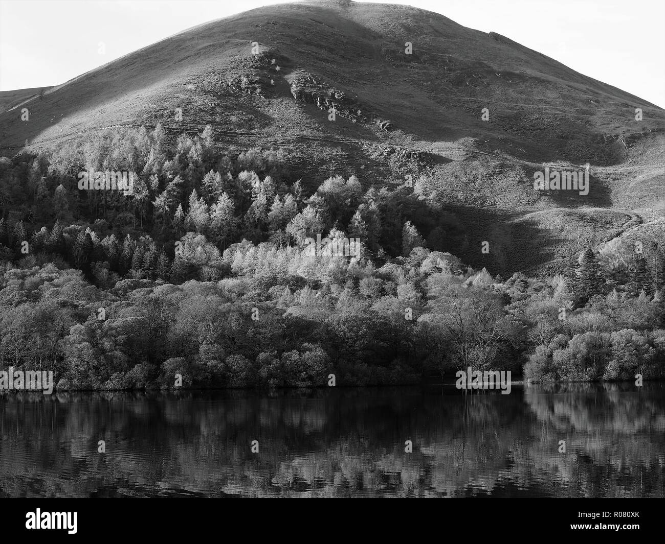 Holme Wood in Loweswater, Nationalpark Lake District, Cumbria, England, Vereinigtes Königreich Stockfoto