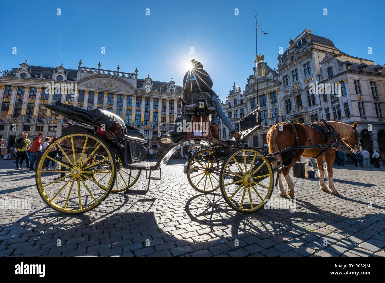 Pferdekutsche in Brüssel Grand Place Stockfoto
