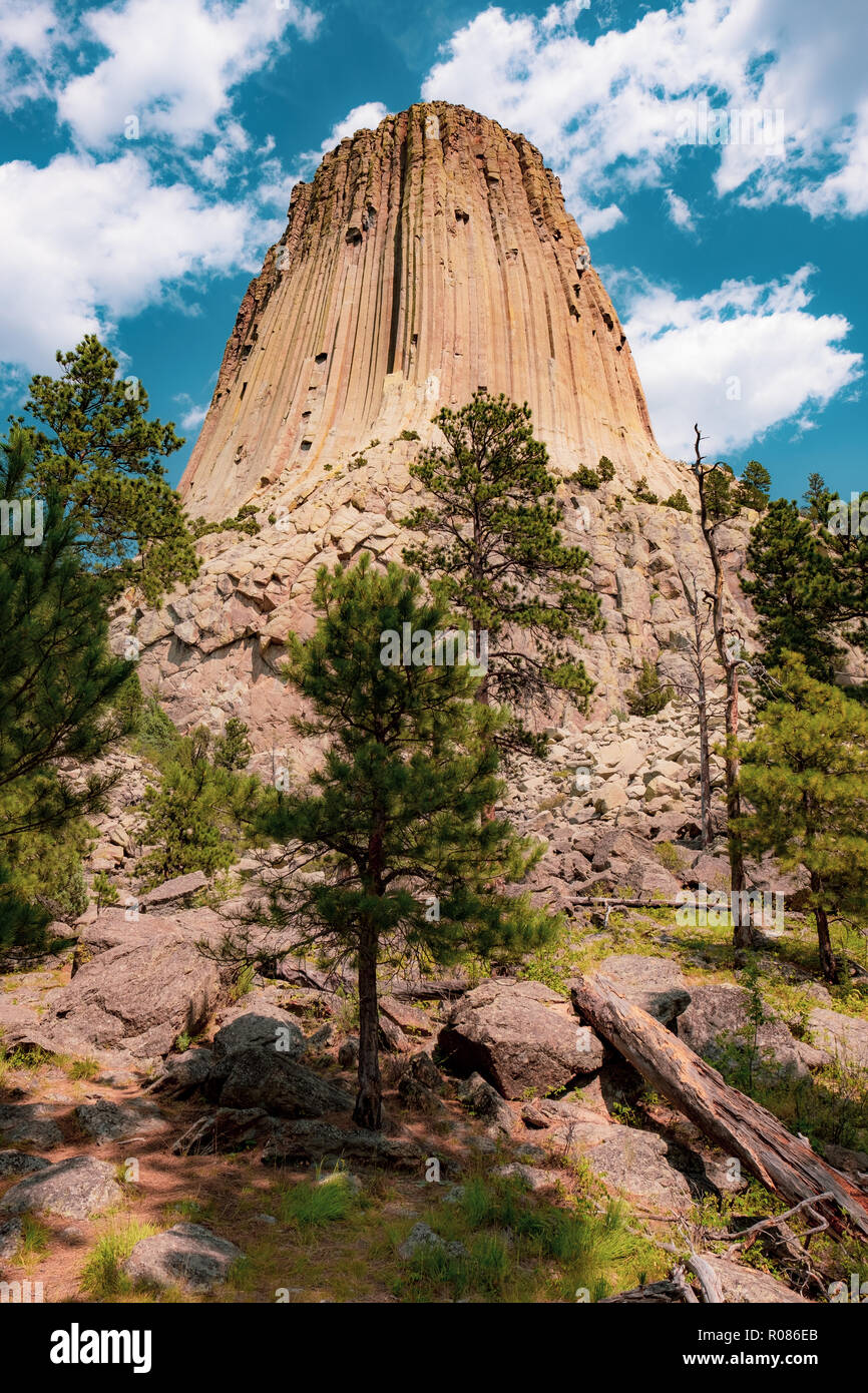 Devil's Tower in Wyoming Stockfoto