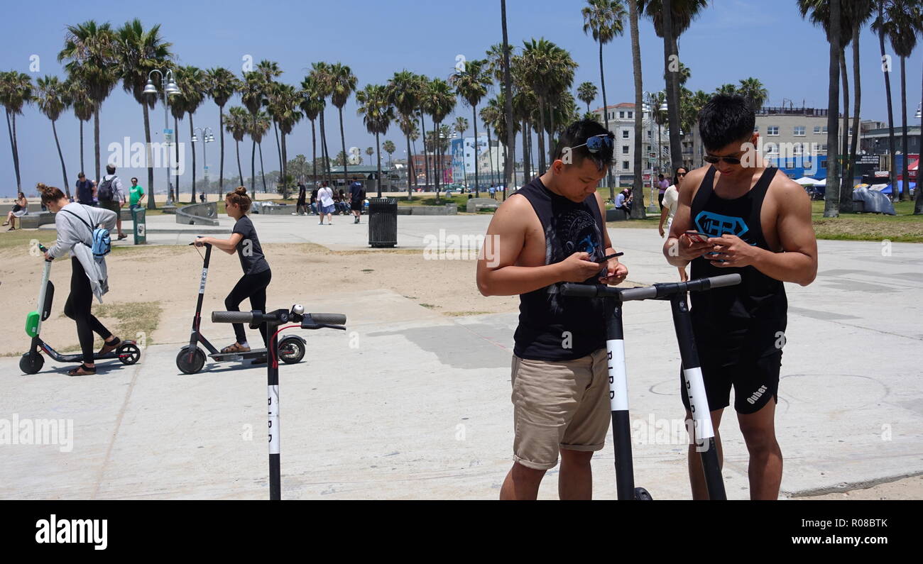 Zwei junge, muskulöse Asiatische Männer nutzen das Handy app zu entsperren und dockless elektrische Vogel Motorroller auf der Venice Beach Radweg mieten Stockfoto