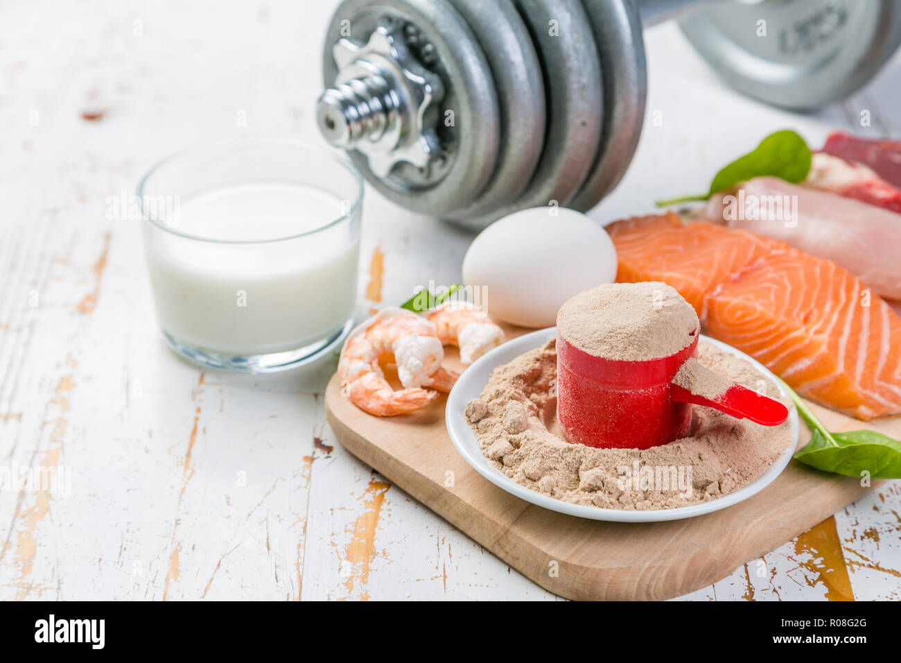 Auswahl der tierischen Proteinquellen mit Pulver Protein, kopieren Raum Stockfoto