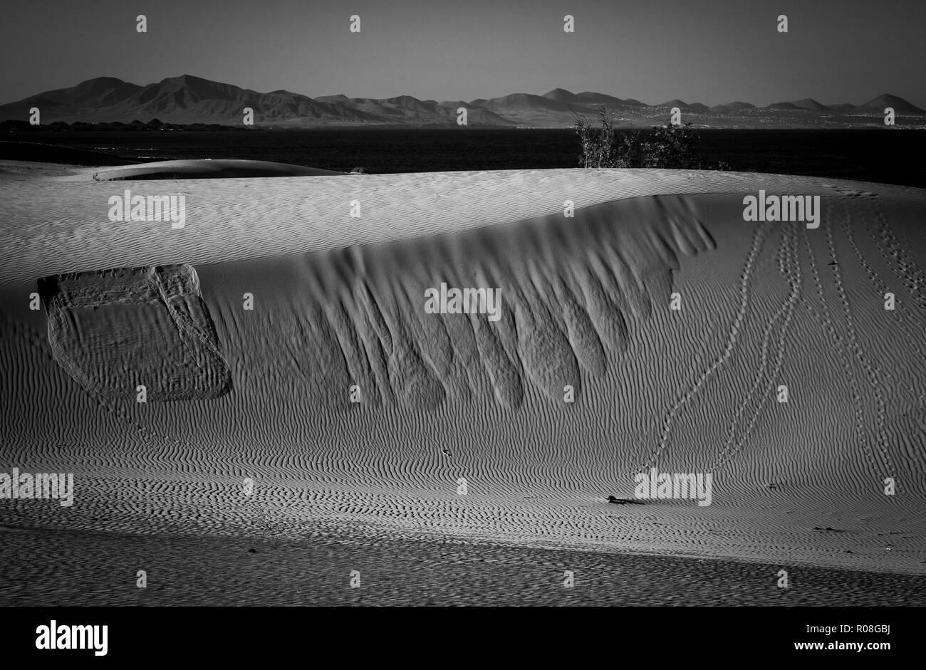 Sand Muster auf den Sanddünen im Naturpark von Corralejo, Fuerteventura, Spanien. Stockfoto