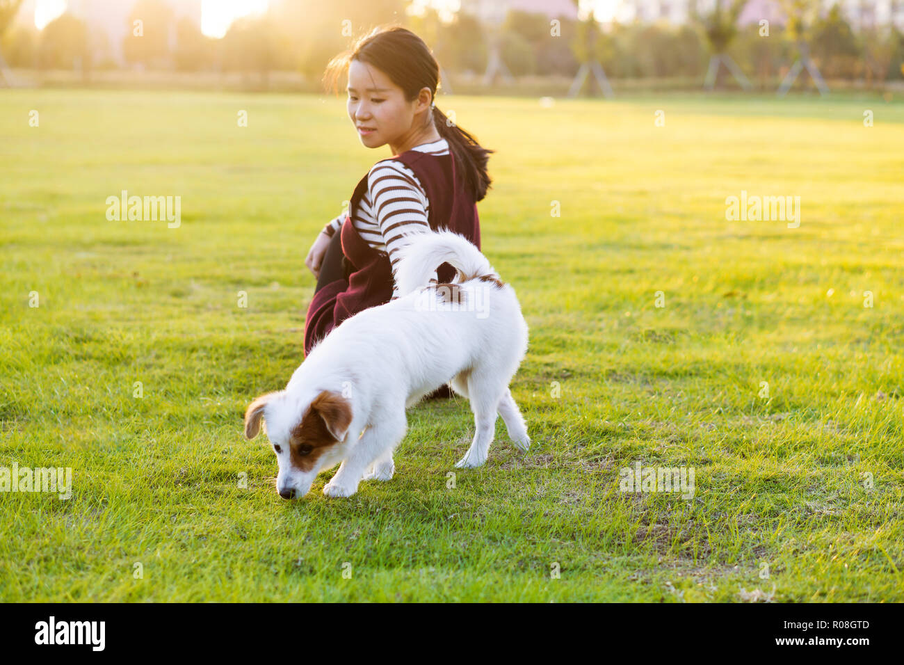 Hund und Gastgeberin, park Hintergrund Stockfoto