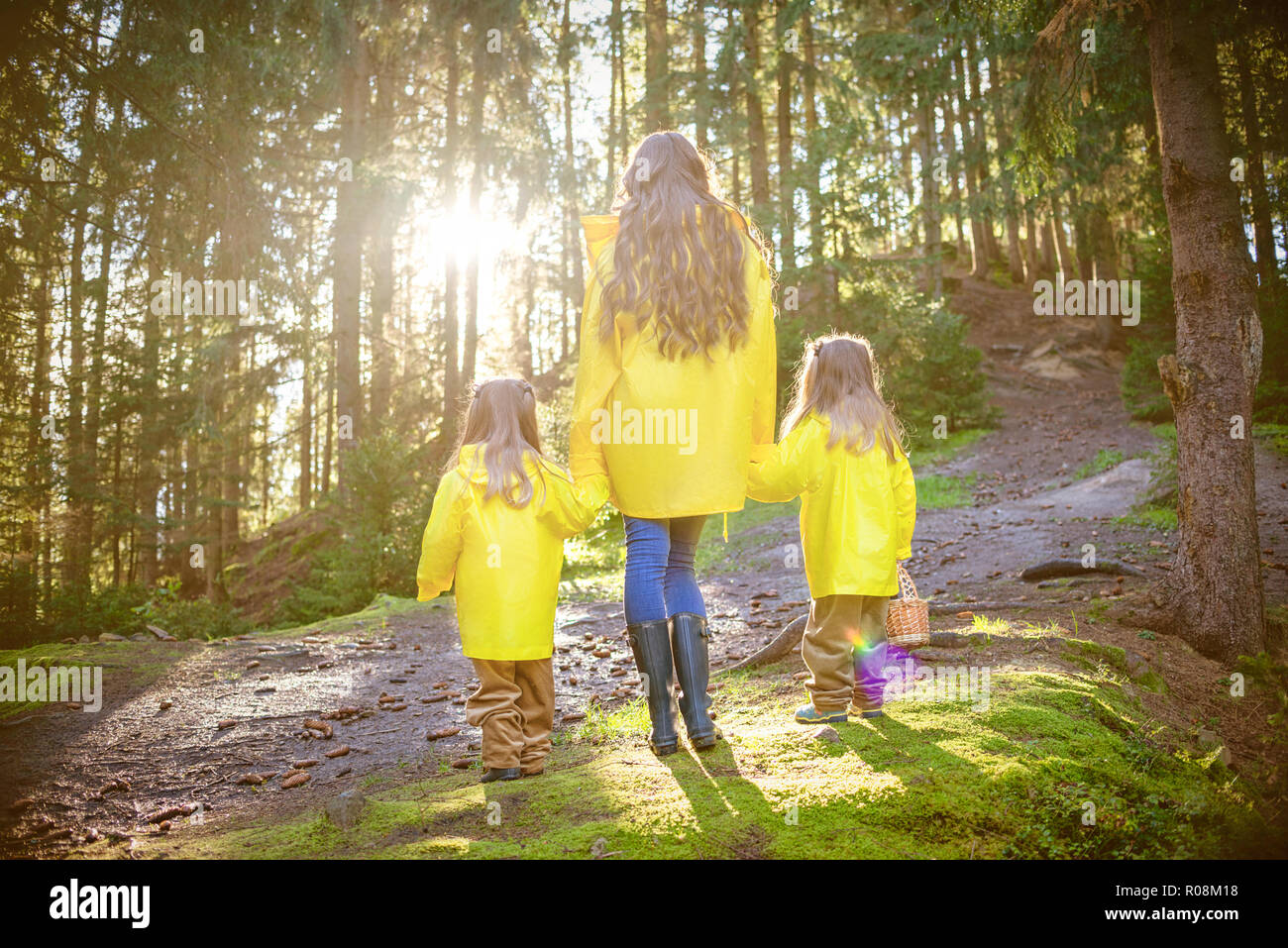 Mutter und Kinder gingen in den Wald nach Pilzen. Alles in gelben Jacken. Der Ukraine, den Karpaten. September 25, 2018. Stockfoto