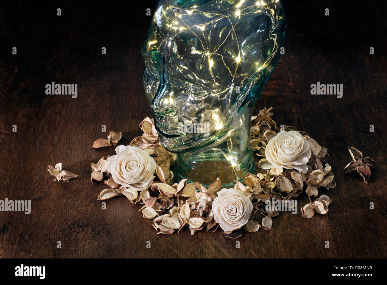 Glas Kopf mit Lichtquellen innerhalb von Blumen auf dunklem Hintergrund umgeben Stockfoto