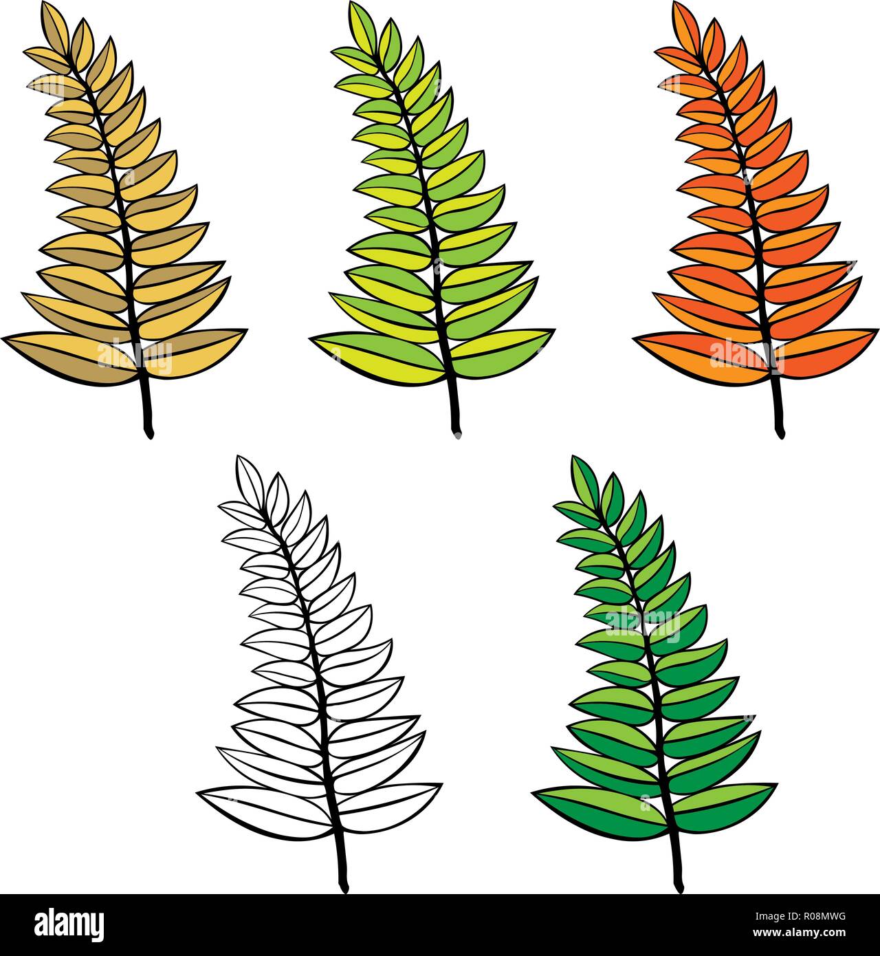 Der Vektor verzweigt. Hand gezeichnet Äste mit grünen, orangenen Blätter auf weißem Hintergrund. design Elements verlässt Dekoration Stock Vektor