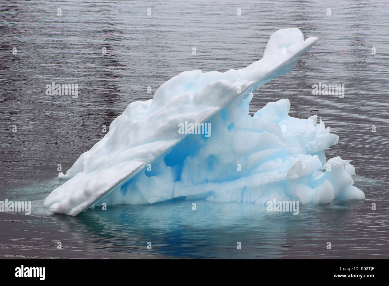 Eine blaue hued Eisberg in die Meere aus der Antarktischen Halbinsel Stockfoto