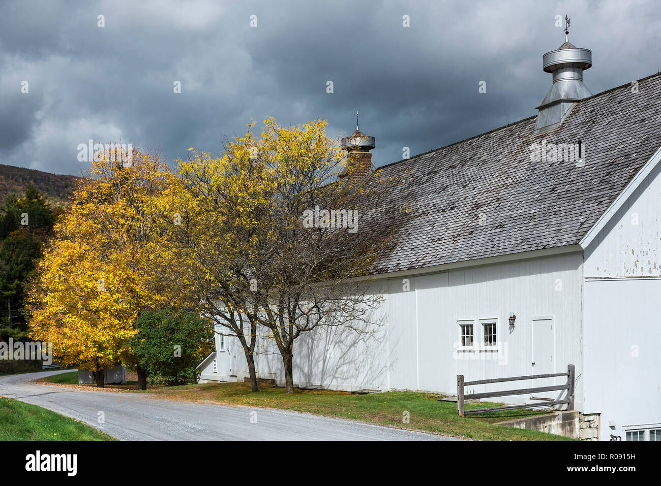 White Barn entlang einer Herbst Country Road, Shaftsbury, Vermont, USA. Stockfoto