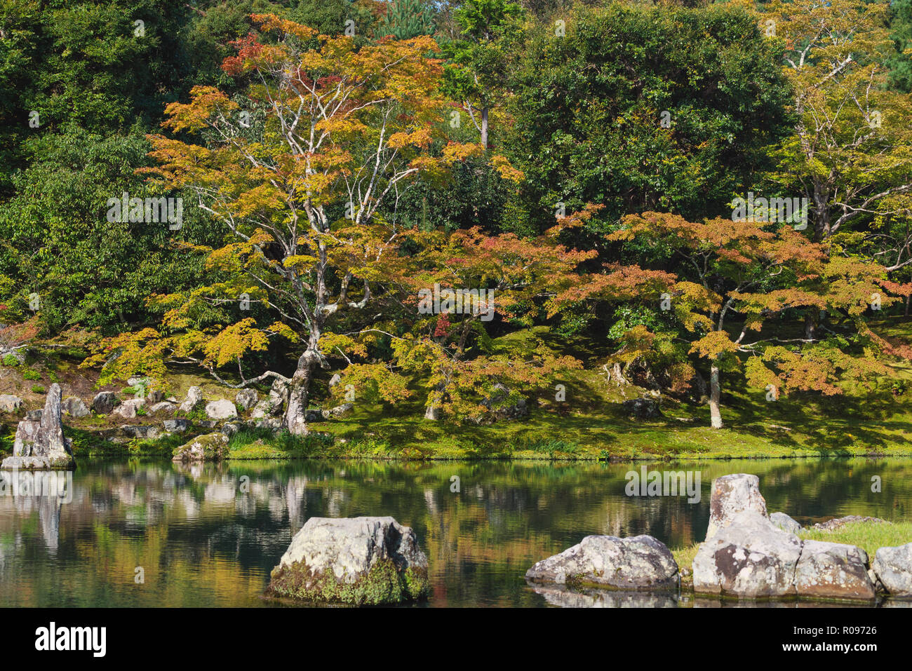Der Herbst kommt, bunte Bäume Jahreszeit in Ginkaku-ji Tempel, berühmten Reiseziel in Kyoto, Japan Stockfoto