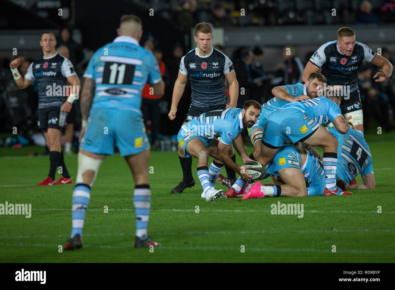 Swansea, Großbritannien. 02 Nov, 2018. Liberty Stadium, Swansea, Wales, UK. Freitag, 2. November 2018. Glasgow Warriors Scrum Hälfte Nick Frisby geht in die Guinness Pro 14 Rugby-Spiel zwischen Fischadler und Glasgow Warriors. Credit: gruffydd Thomas/Alamy leben Nachrichten Stockfoto