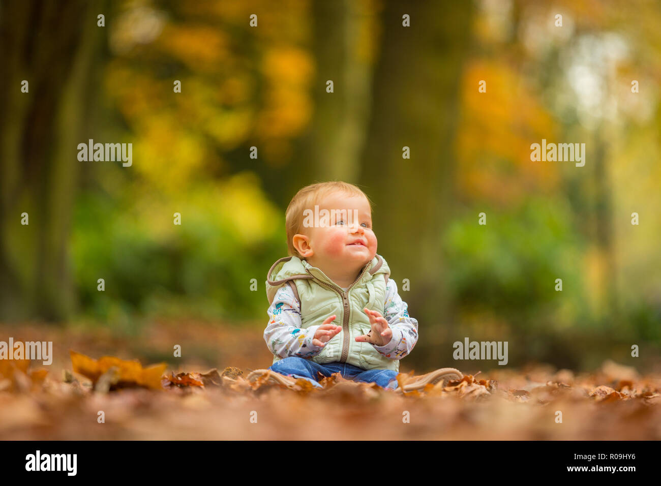 18 Monat alten weißen kaukasischen Jungen unter Blätter im Herbst lächelnd und gesundes Sitzen Stockfoto