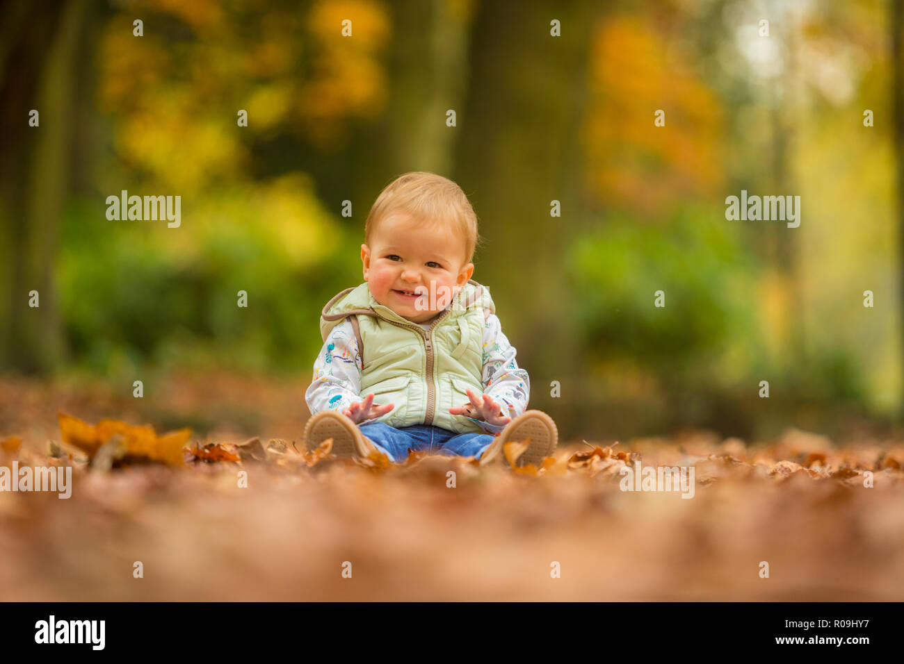 18 Monat alten weißen kaukasischen Jungen unter Blätter im Herbst lächelnd und gesundes Sitzen Stockfoto