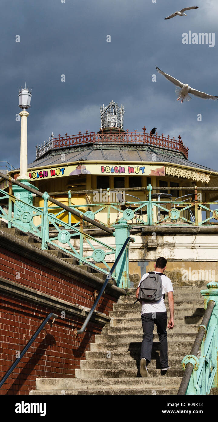 Brighton, East Sussex, UK. Die Strandpromenade oder Promenade Stockfoto