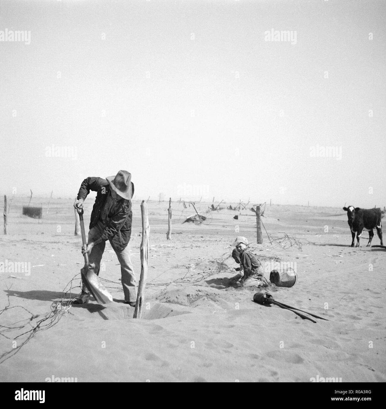 Dust Bowl Bauer, der Zaun aus unter Flugsand, Cimarron County, Oklahoma, USA, Arthur Rothstein, Farm Security Administration, April 1936 begraben werden halten Stockfoto