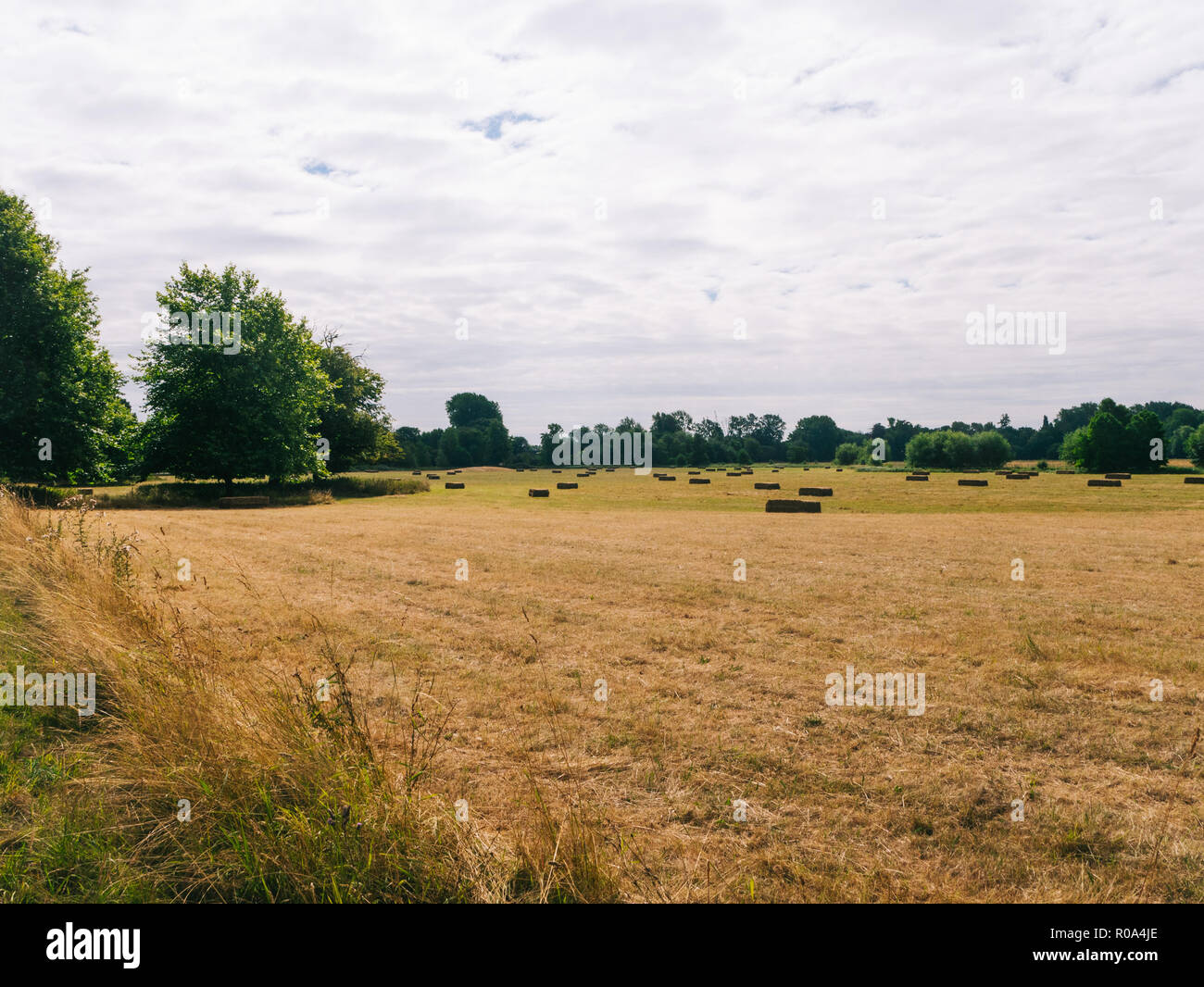 Ausgetrocknet Sichtweite von Land mit Bäumen und Stroh in Oxford Stockfoto