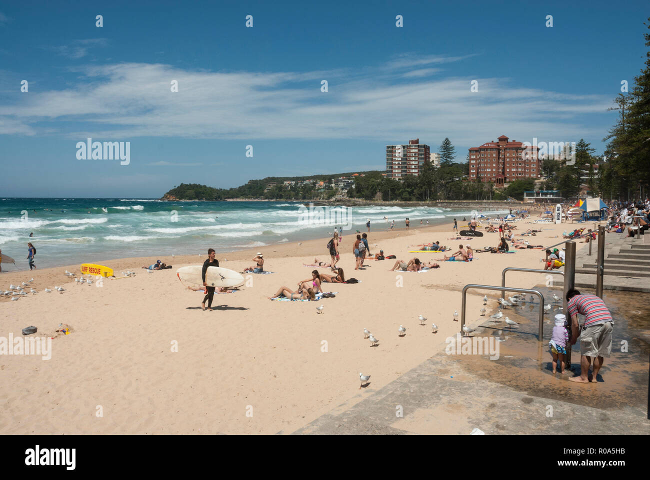 Blick auf den goldenen Strand von Manly Beach, Sydney, Australien mit Urlaubern Sonnenbaden, Schwimmen und Surfen in der Frühlingssonne. Stockfoto