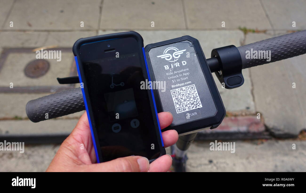 Nahaufnahme von Lenker und Scan Symbol eines Vogels Elektroroller und Hand Handy mit offenen App Stockfoto