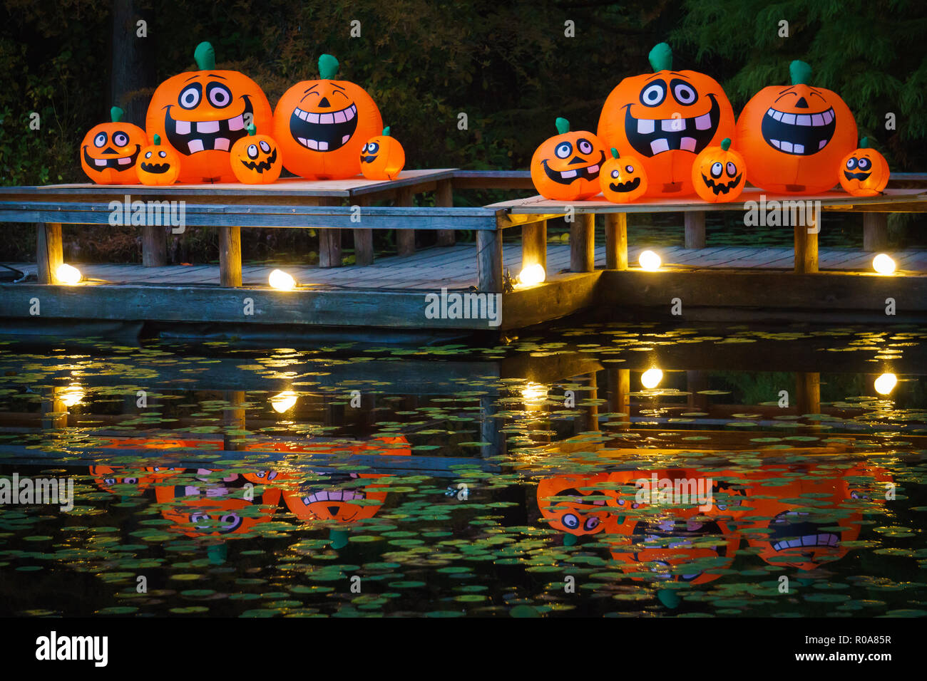 Aufblasbare Jack-o-lanterns Kürbisse für Halloween. Stockfoto