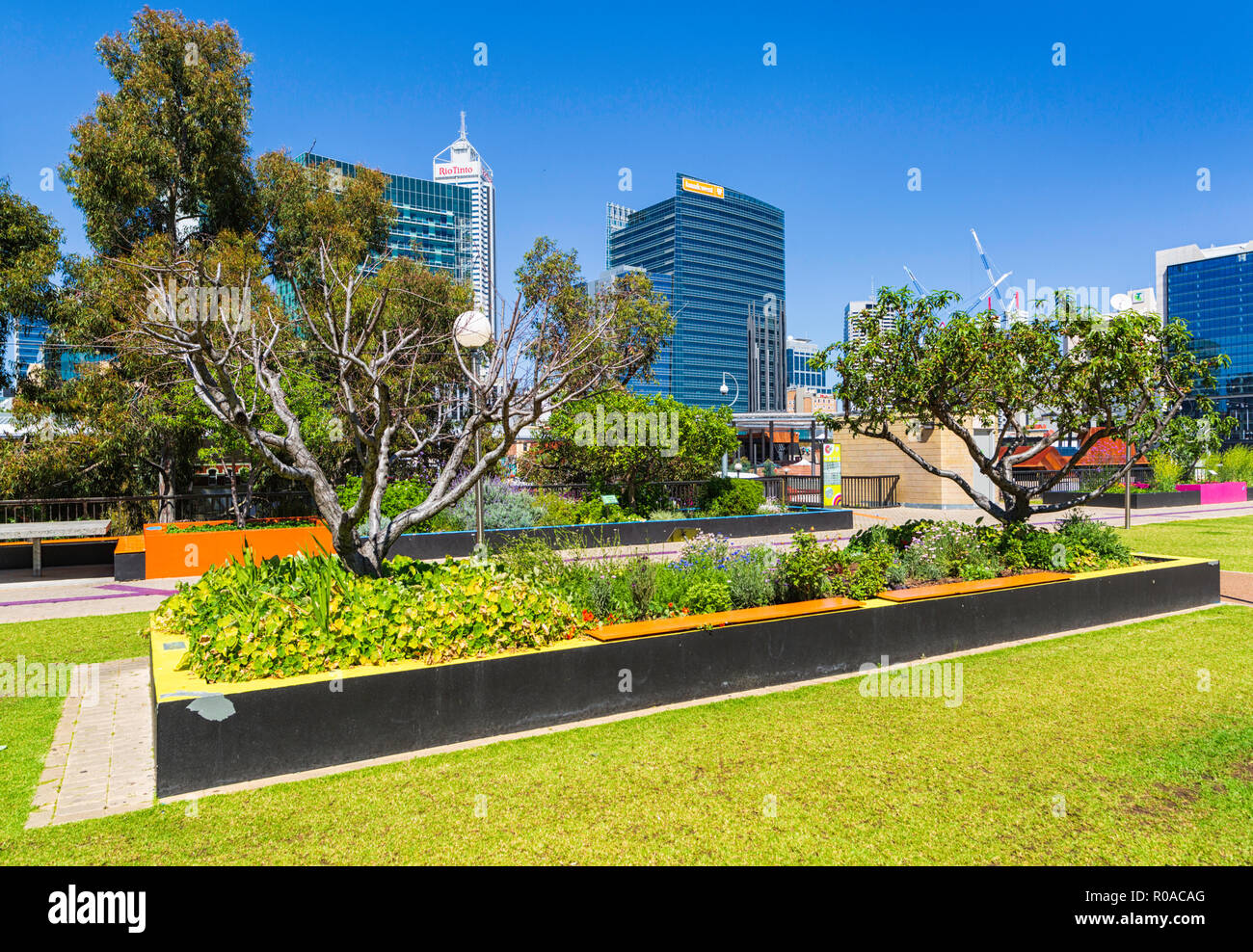 Die städtische Orchard Garten im Perth Cultural Centre. Perth, Western Australia Stockfoto