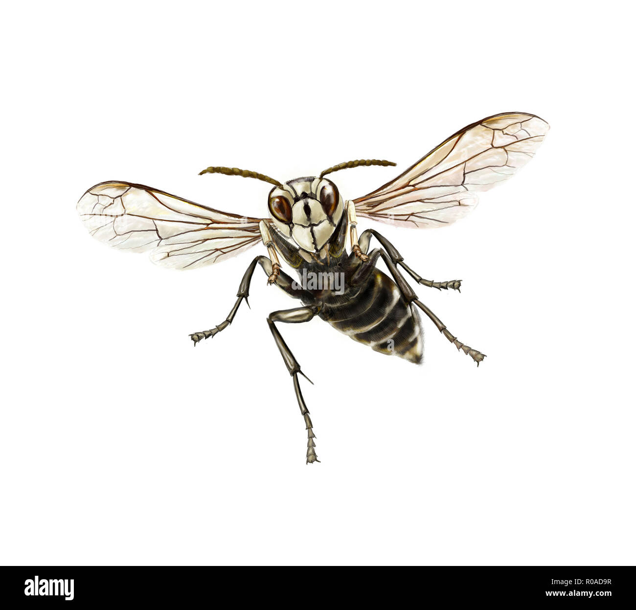 Digitale Illustration einer fliegenden unverhohlene Hornet Stockfoto
